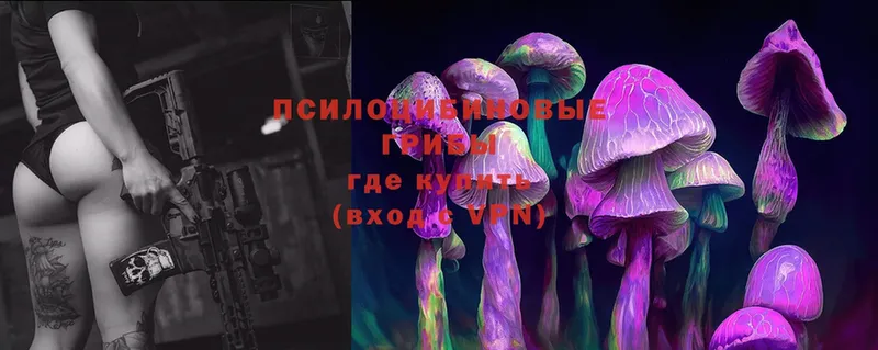 Галлюциногенные грибы MAGIC MUSHROOMS  Усть-Лабинск 